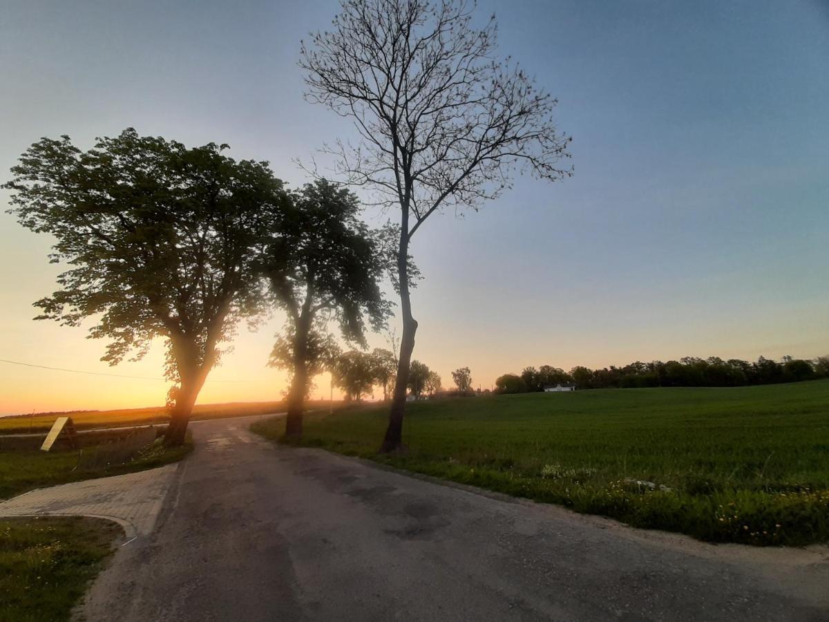 Noclegi Zdzislaw Sieradzki Zbiczno 외부 사진