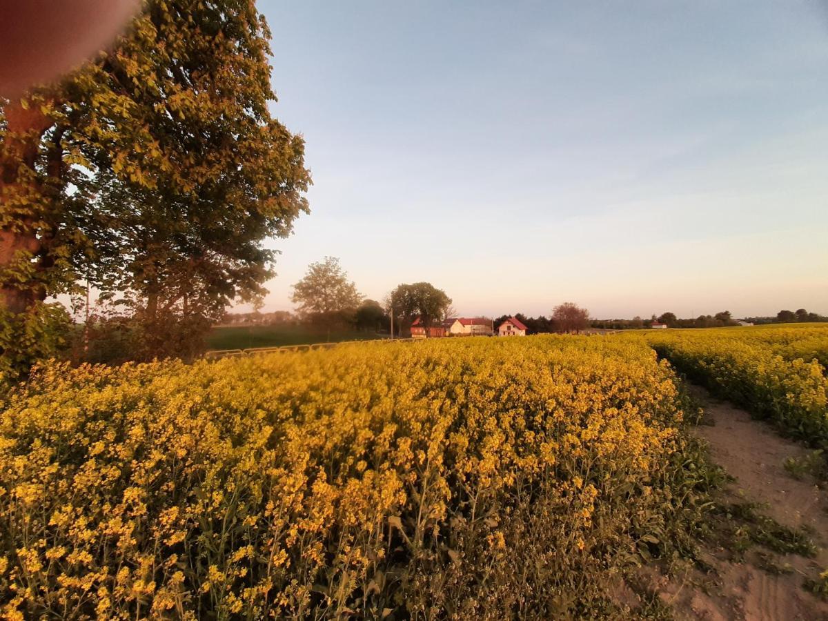 Noclegi Zdzislaw Sieradzki Zbiczno 외부 사진